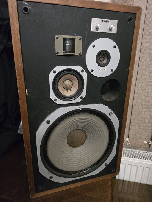 Тонколони Pioneer hpm 100