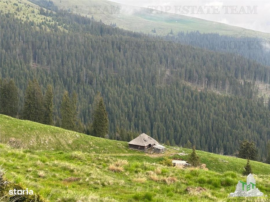 Super Oportunitate, De Vanzare O Proprietate Speciala, Muntele Varful