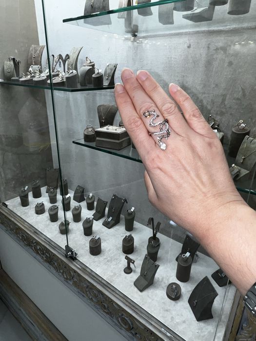 змия кафяв диамант бял диамант черен диамант кръст движещ
