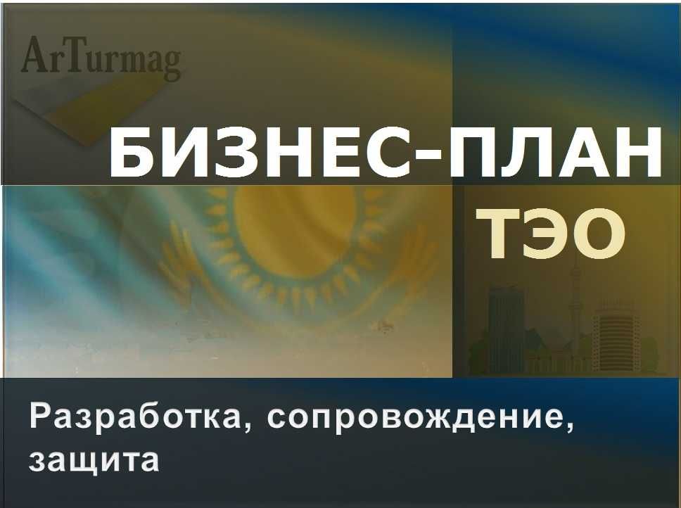 Бизнес-план, ТЭО в Гос. учреждения по программам развития