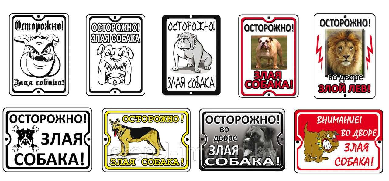 Именные жетоны, гравировка на ошейниках.