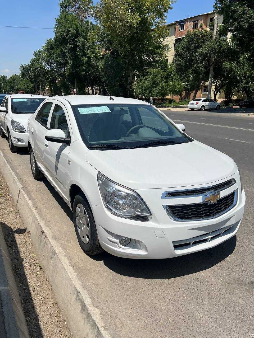 Cobalt Optima 25 Nataryus Tekin