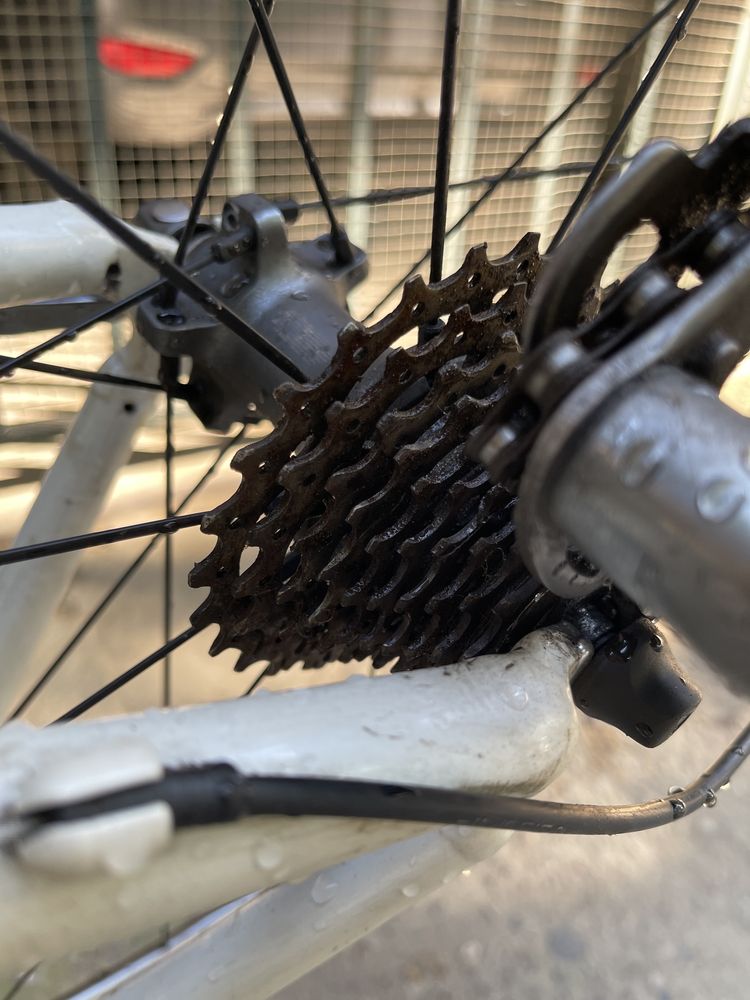 Шоссейный велосипед Bulls Desert Falcon — Shimano Ultegra