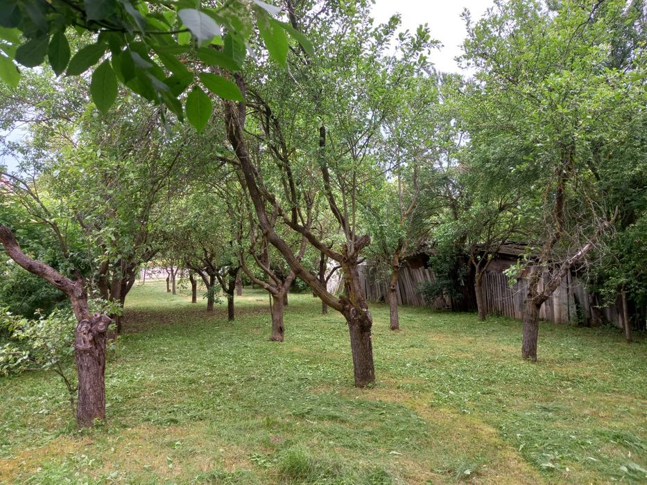 Vând Teren ( 1526 mp2 ) pe strada Barsesti ( Tg-Jiu )