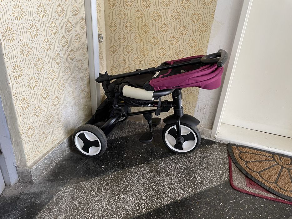 Tricileta Coccolle Spectra Mov