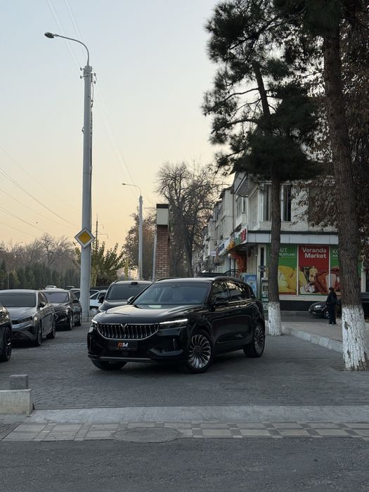 Voyaa free poolniy full elektr