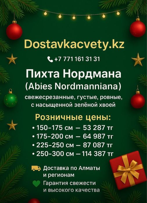 Пихта нордмана доставка