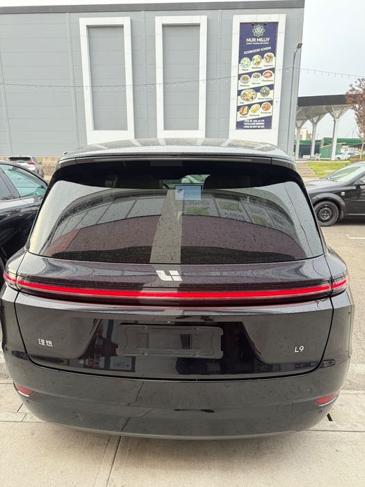 Li 9 Pro доп опция 2024