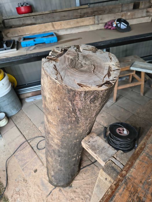 Trunchi de nuc uscat