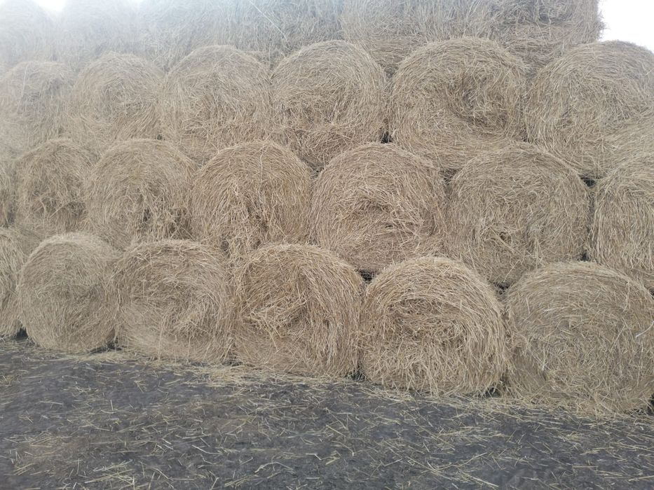Продам солома с доставкой