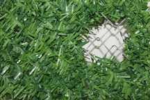 imitatie gard viu artificial, 1x10m 1,5x10m 1,7x10m 2x10m