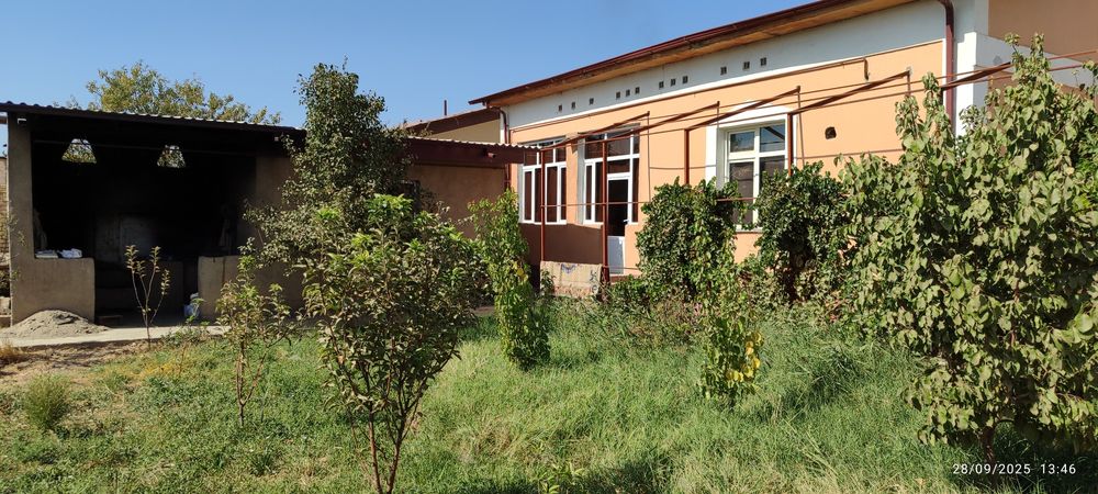 6sutokli namunali kotej