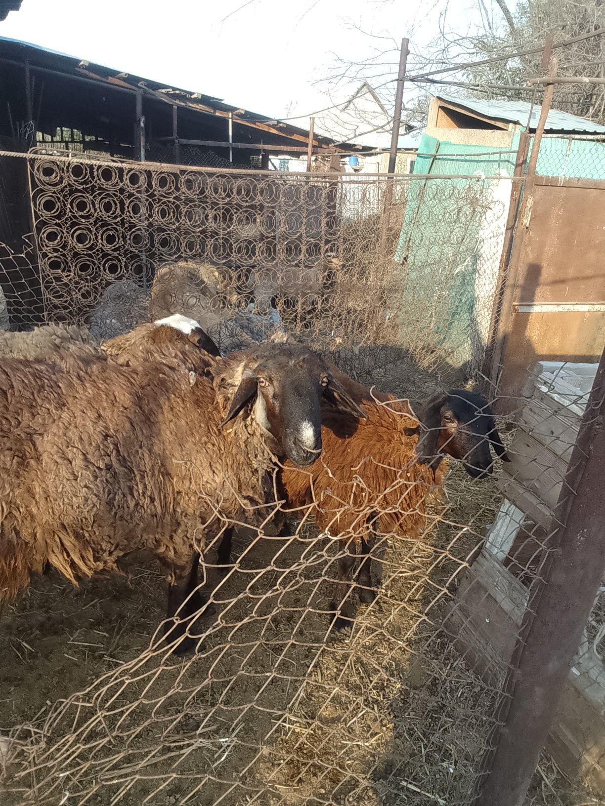 Продам оптом торг уместен