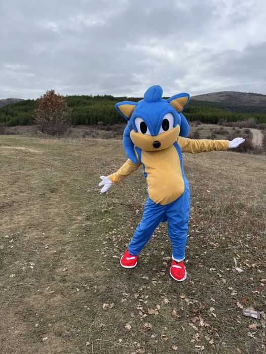 Парти маскоти за вашето парти