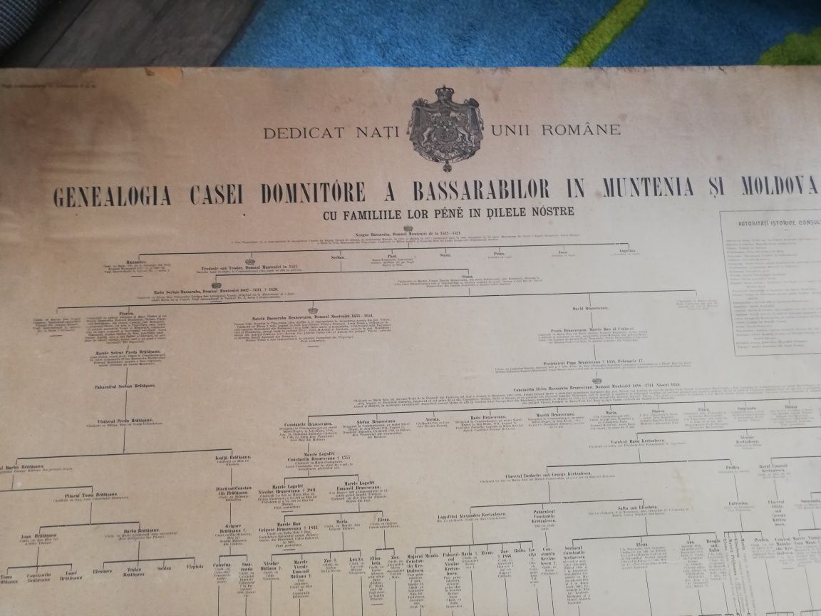 Tablou genealogia casei domnitoare Muntenia si Moldova 1898