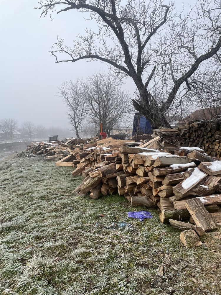 Lemne pentru foc