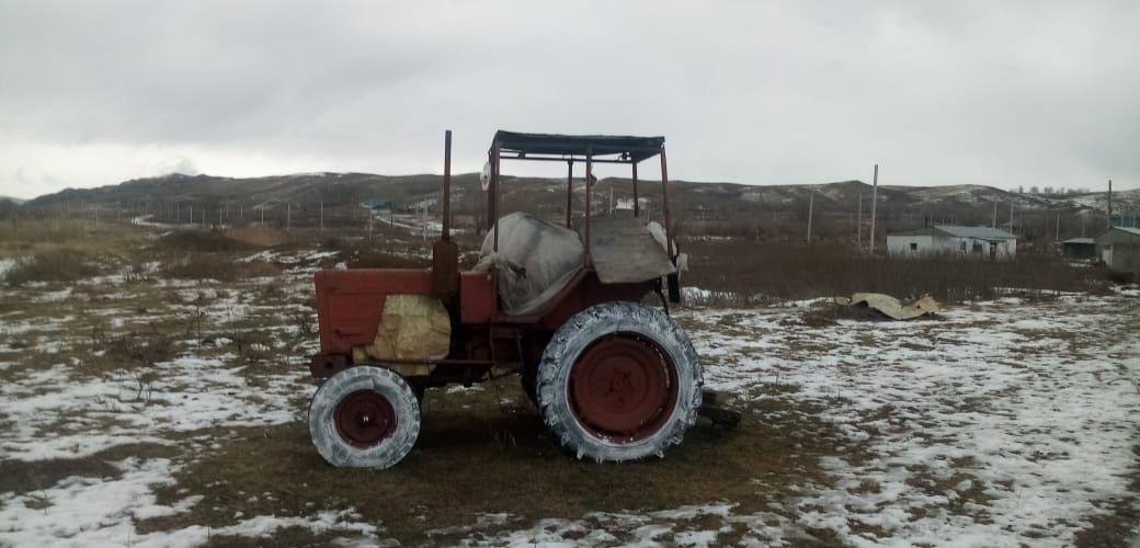 Продам хозяйство