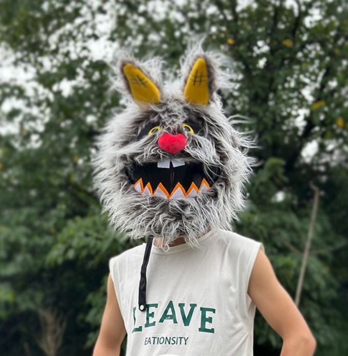 Huse amuzante pentru casca moto