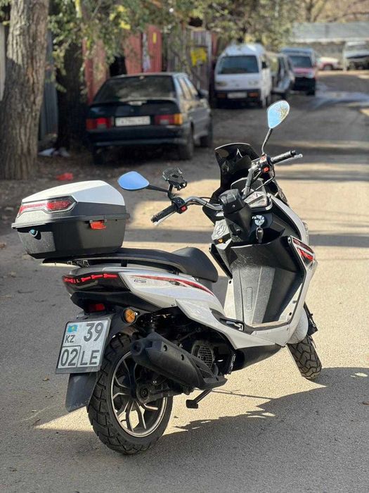 Аренда мопедов M8, Maxi, Samurai