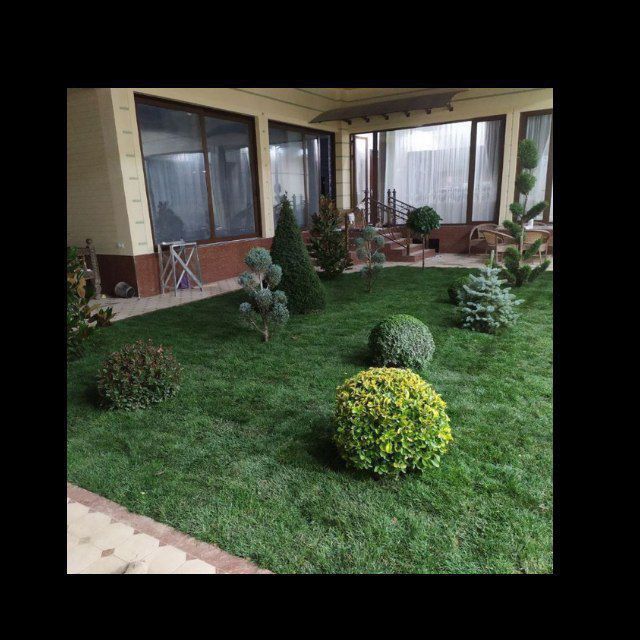 Sadovnik boğbon xizmati