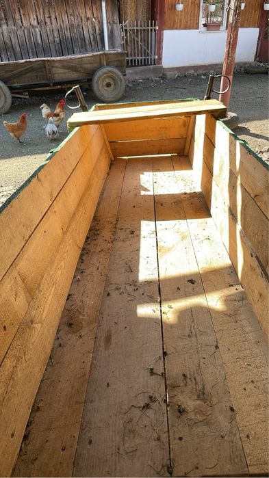 Caruta de vanzare sau schimb cu oaie breaza maxim 3 miei