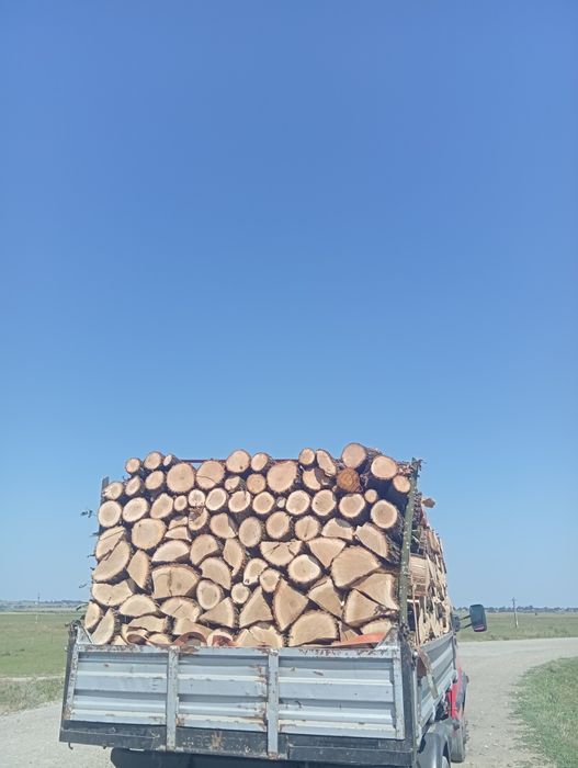 Aducem lemne de foc la domiciliu stejar fag