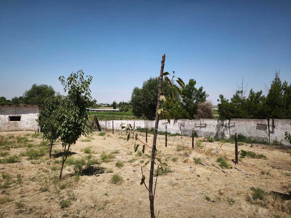 Yu  Фермерское хозяйство 20 соток, пашня 5 га колхоз Туркистон