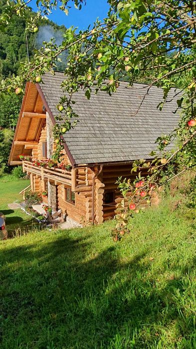 Cabană de închiriat