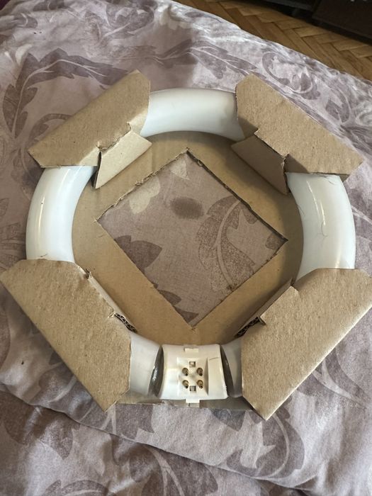 MASTER TL-E Circular Super 80 TL-E 22W/840 1CT/12