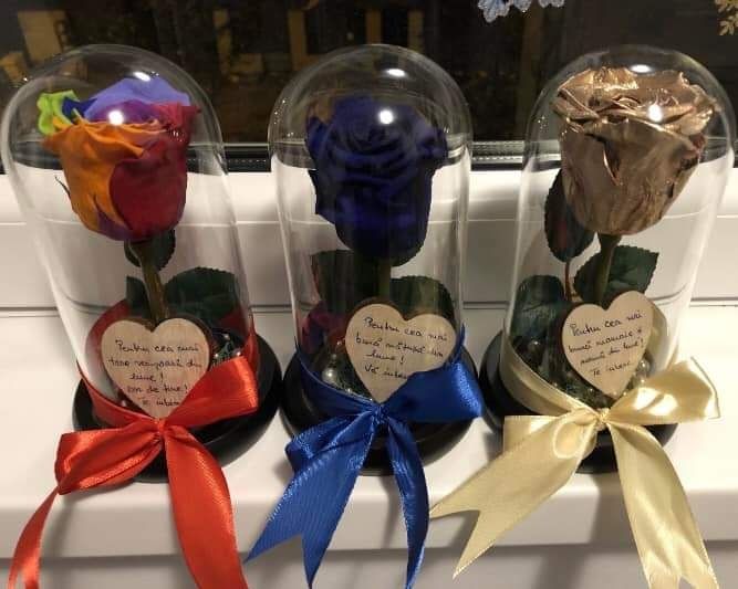 Cupola sticla cu trandafir criogenat