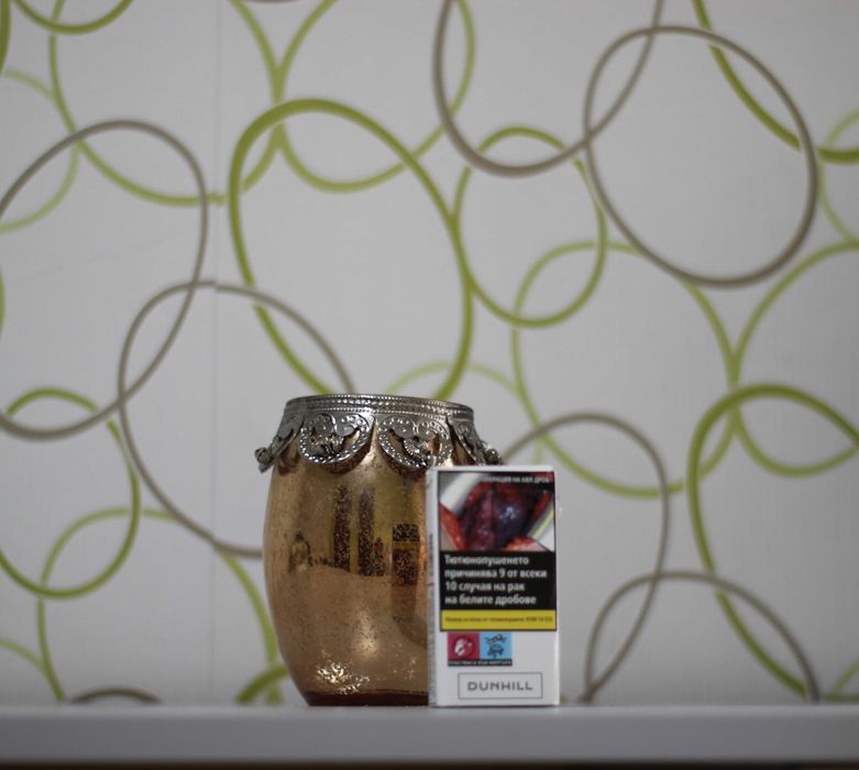 Мини мини пудел - той пудел бебета с родословни родители