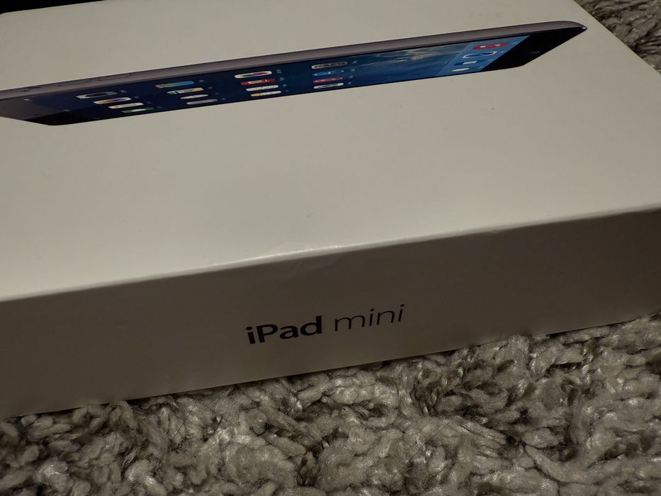 IPad mini , 16 GB grey