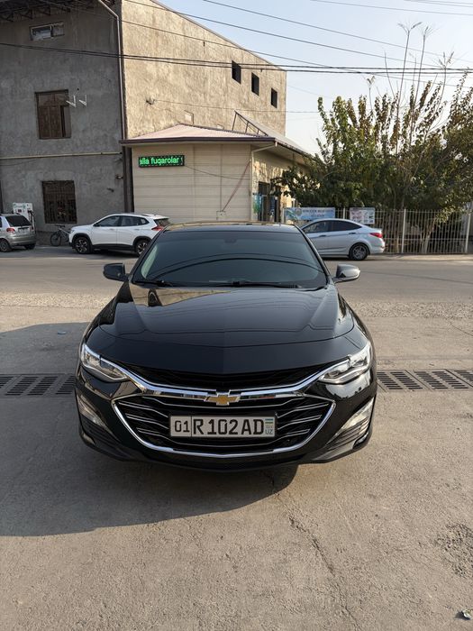 Malibu 2, 2.4 vikupga beriladi