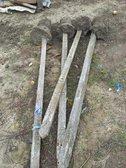 Бетонни колове. 5 лв бр