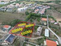 Teren Albina 500Mp-20ml front