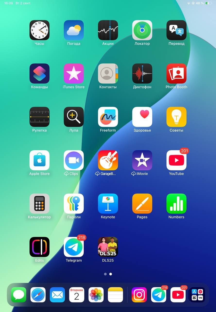 Apple I Pad 10 2025