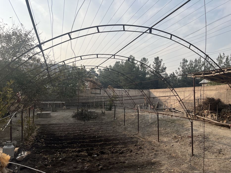 tayyor parnik almaturadan 22 li