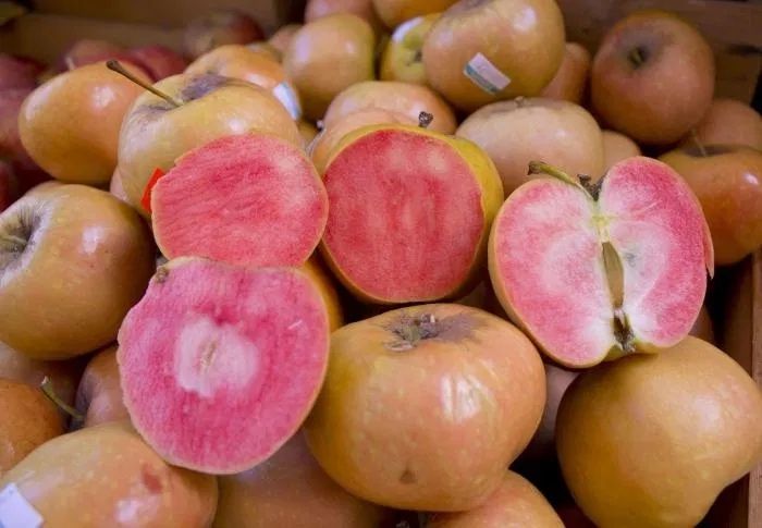 Mar pink pearl deosebit