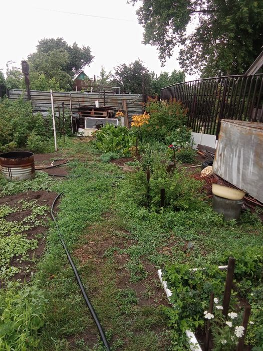 Продам дачу сад Здоровье, для ИЖС ,сад огород