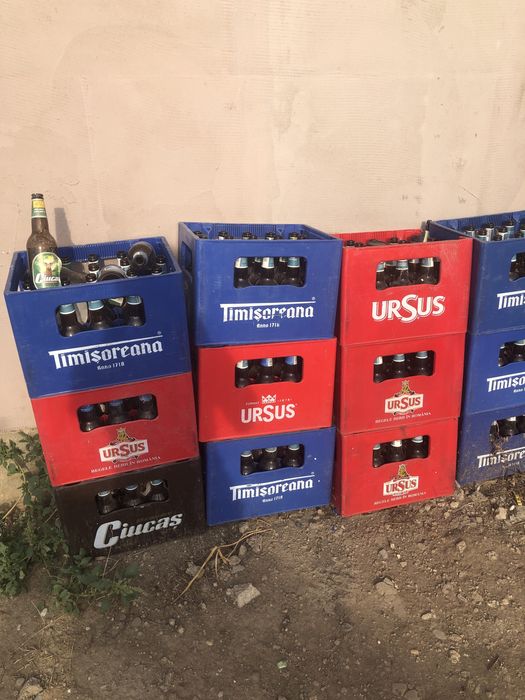 Navete complecte de ciucasi si timisoreana
