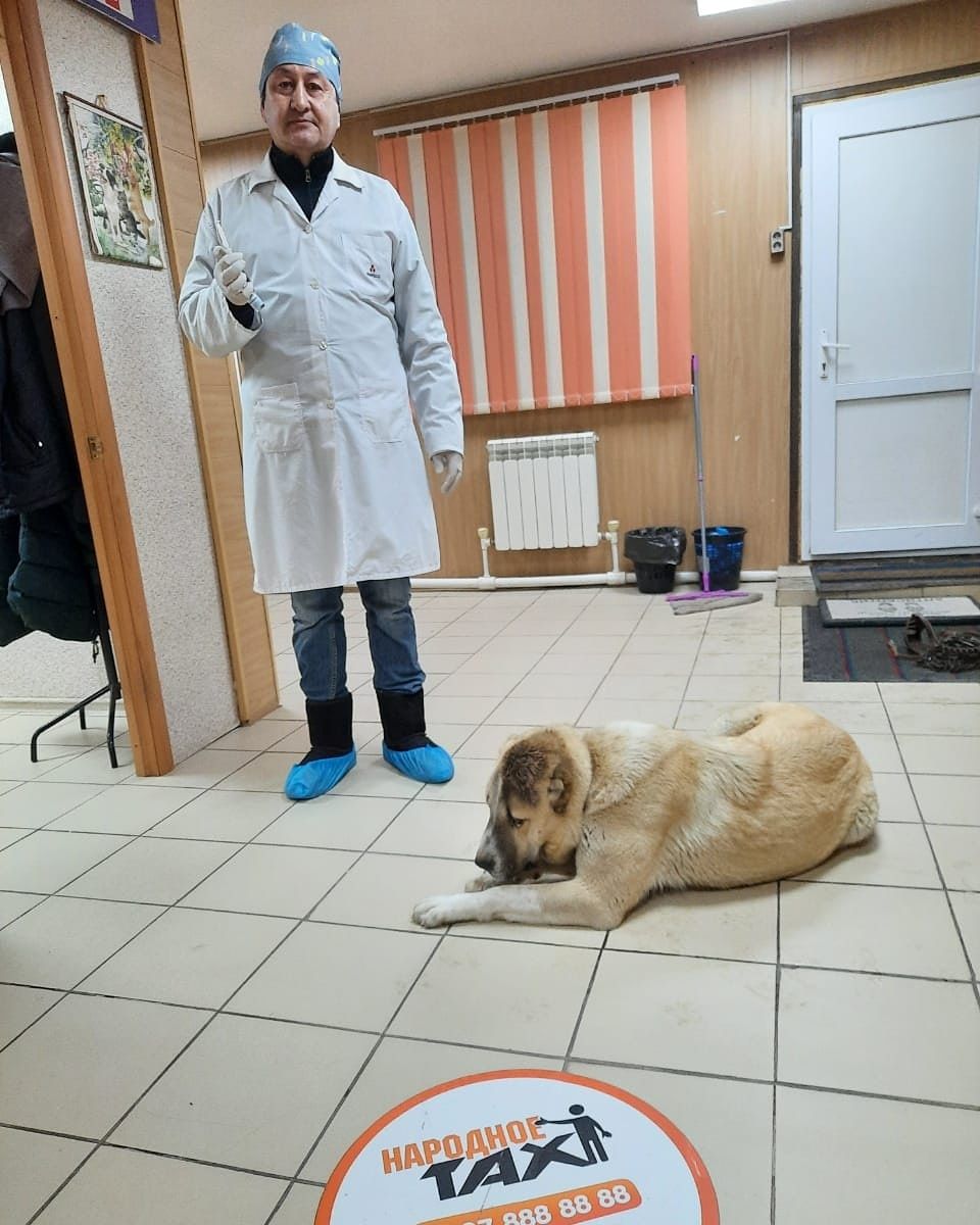 Ветеринарная клиника Doctor Vet!