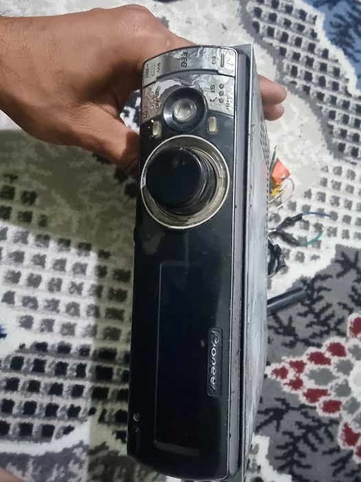 Pioneer delfin arginal