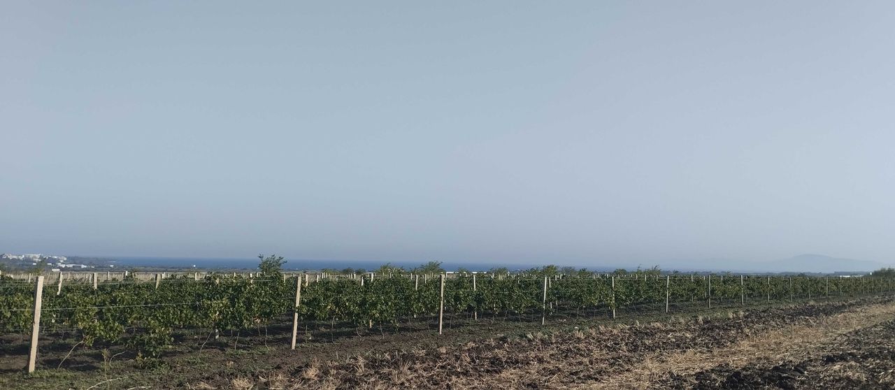 Продава се Парцел в Поморие - 2300 кв.м за 5 €/кв.м - Снимка #9