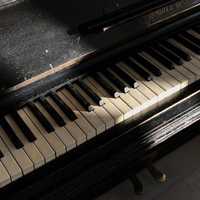 Частные уроки фортепиано для начинающих