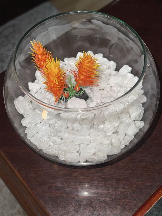 круглый аквариум