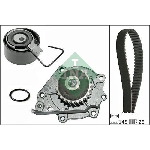 Set pompa apa + curea dintata Land Rover Freelander (Ln), 02.1998-10.2006, Rover/Mg 200 (Rf), 11.1995-11.2000, 25 (Rf), 09.1999-06.2006, 400 Hatchback (Rt), 05.1995-03.2000, 45 (Rt), 02.2000, INA