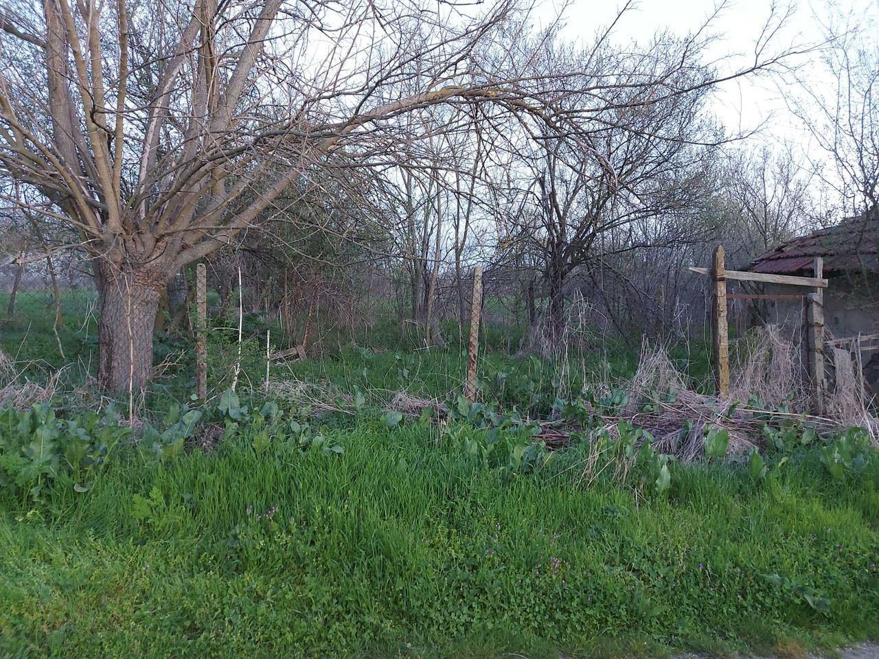 Продава се Парцел в с. Пъстрен, Област Стара Загора - 1414 кв.м за 3 €/кв.м - Снимка #12