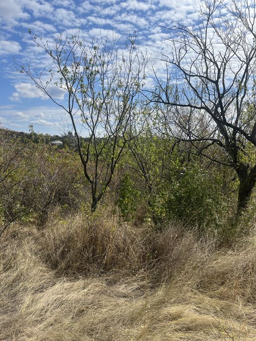Teren intravilan 1.100 m² – Tohani, Prahova | Lângă Autostrada A7