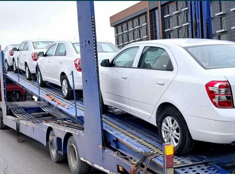 Cobalt peniya va ribolarsiz