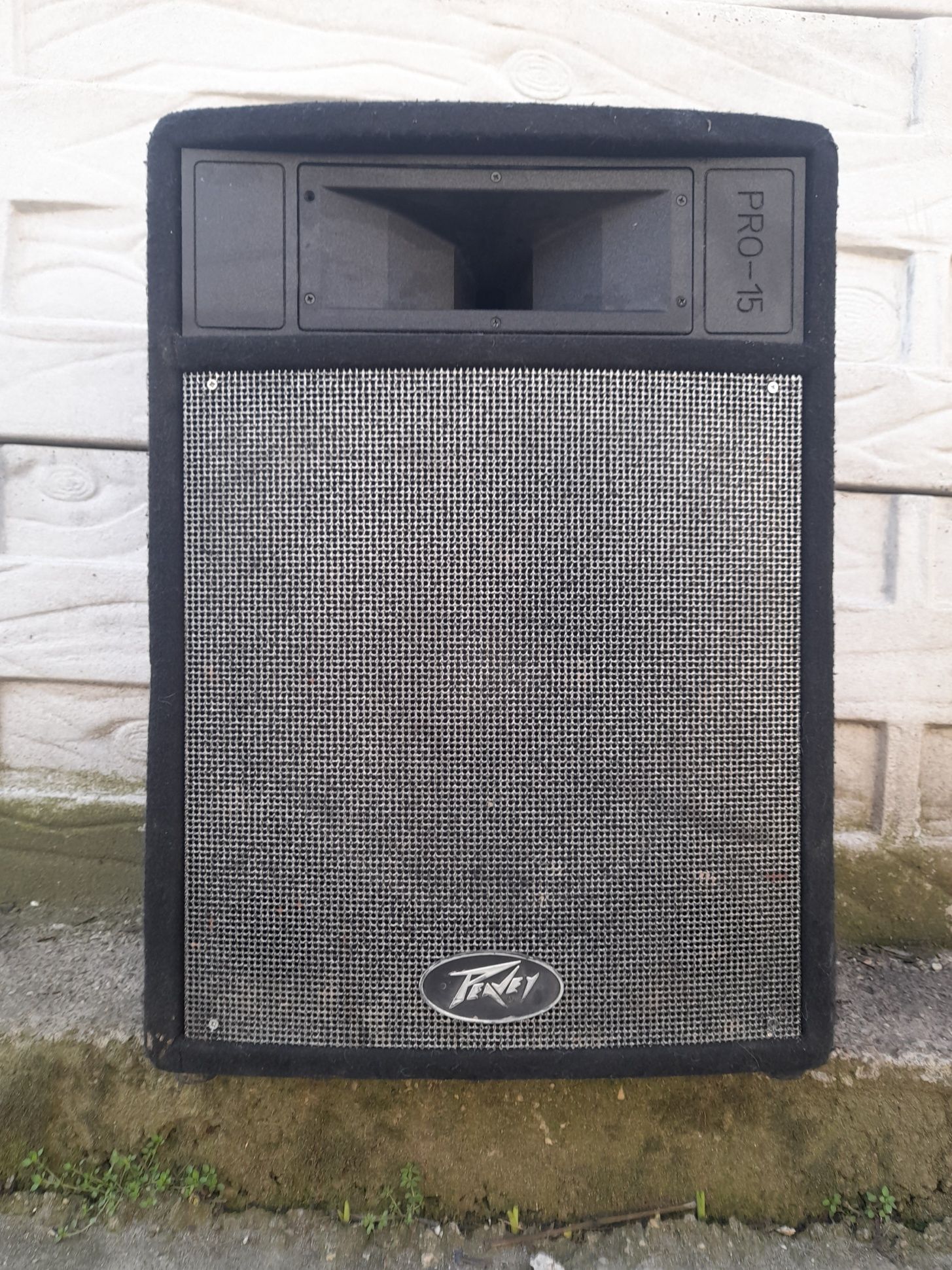 Peavey PRO-15 Reprobox